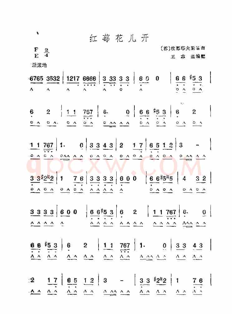 红莓花儿开
