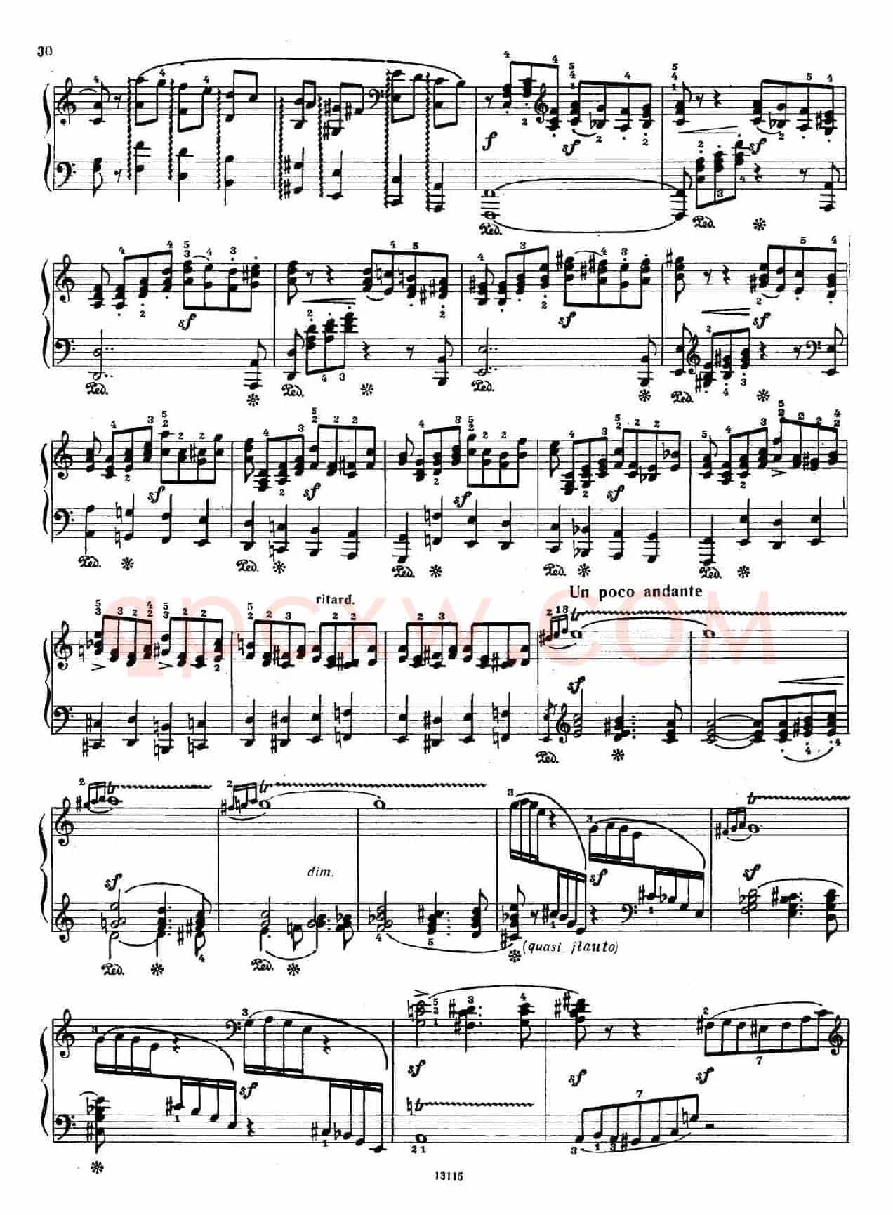 Piano Concerto in a Minor Op.54（a小调钢琴协奏曲·双钢琴）