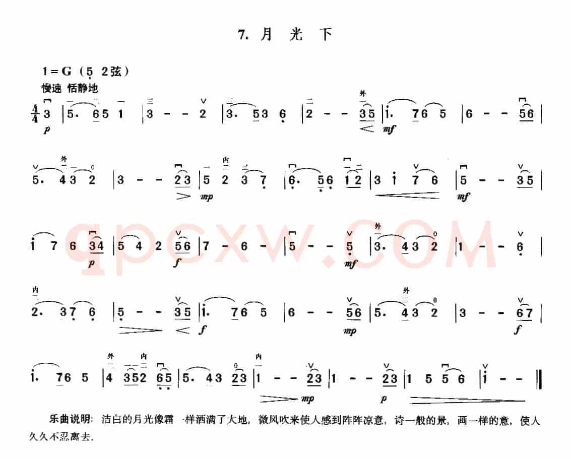月光下