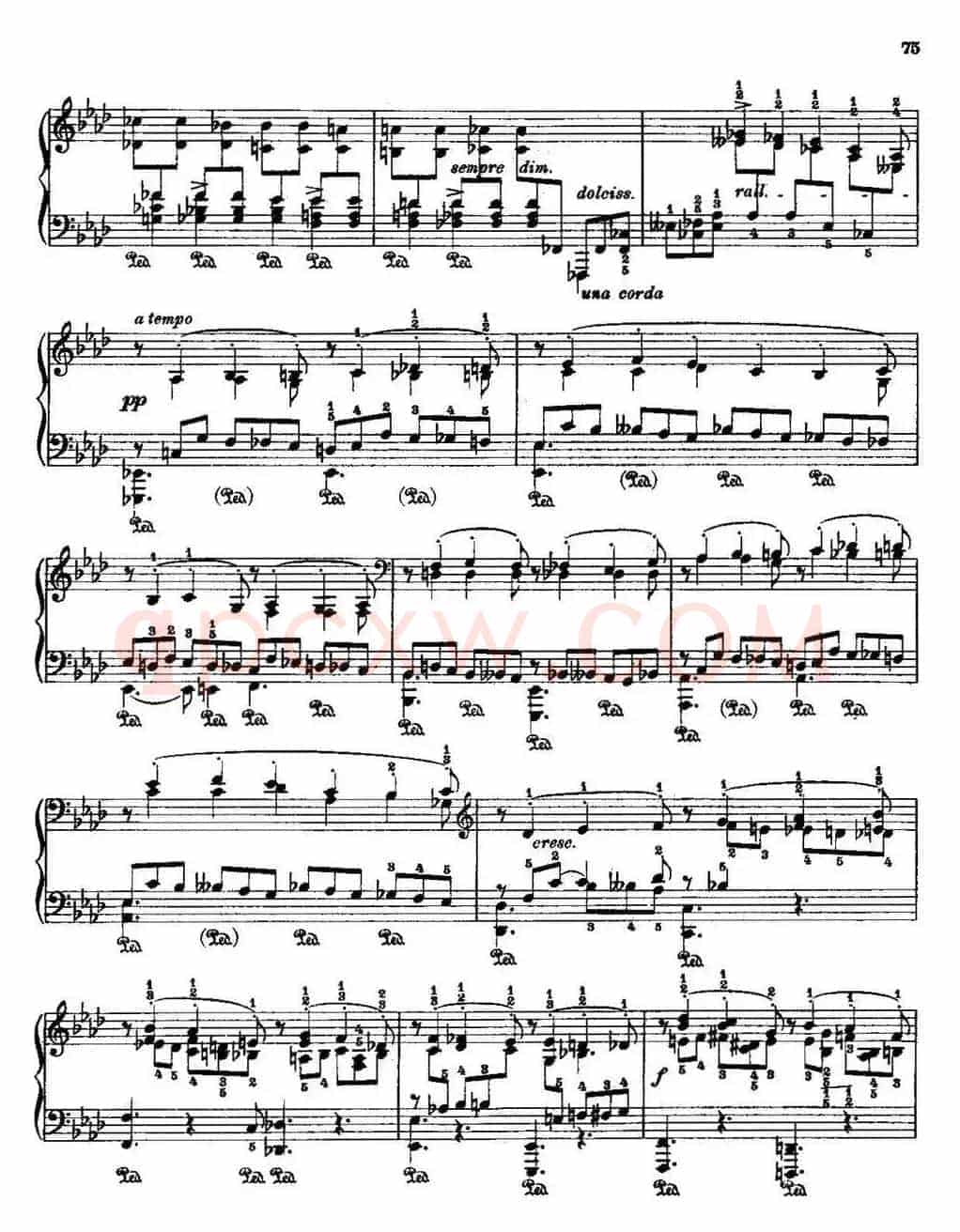 53首改编练习曲（No.20）