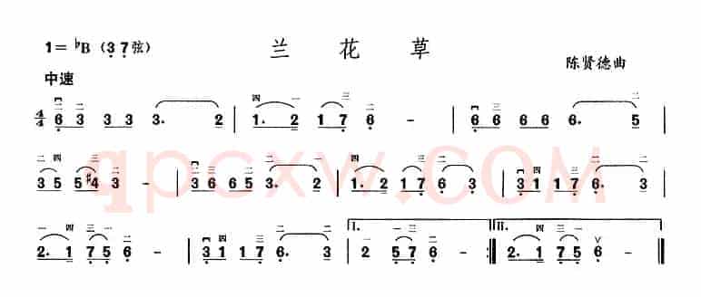 兰花草