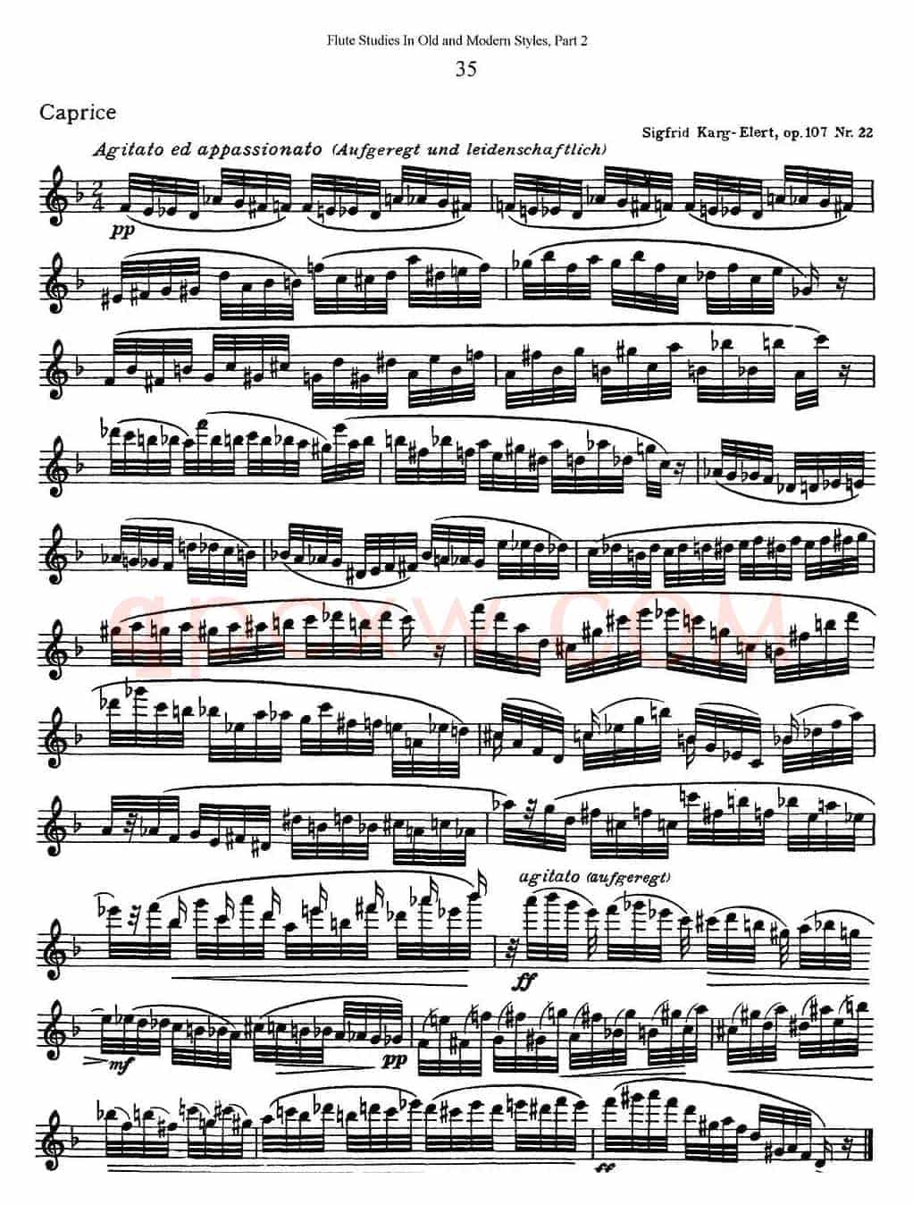 斯勒新老风格长笛练习重奏曲（第二部分）（NO.35）