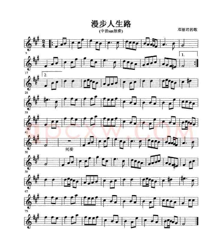 漫步人生路