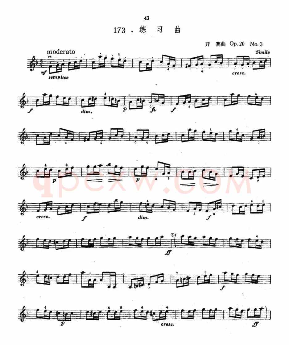 开塞Op20 No3 练习曲