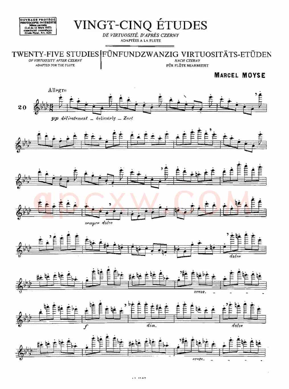 Moyse - 25 Studies after Czerny flute 之20（25首改编自车尔尼作品的练习曲）
