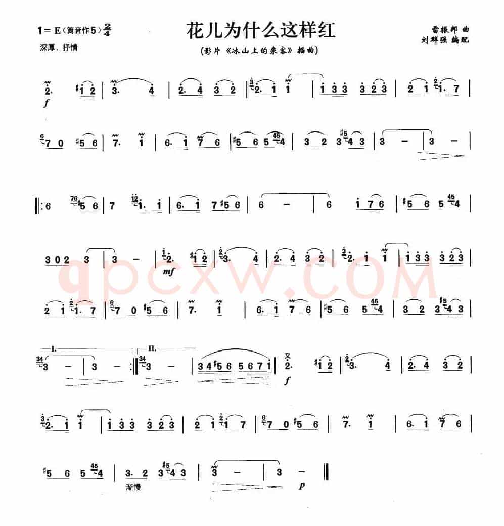 花儿为什么这样红
