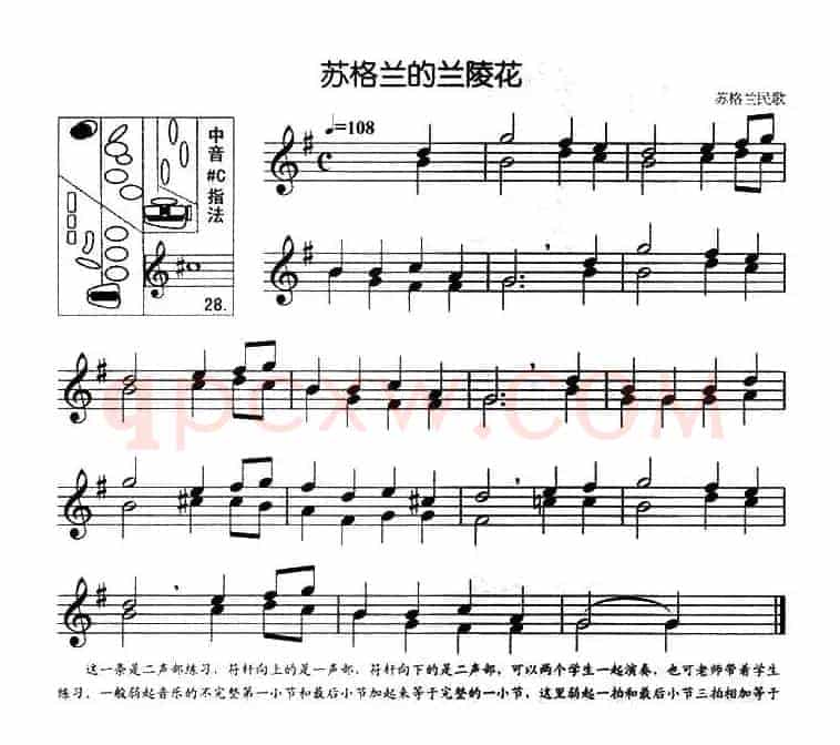 苏格兰的兰陵花（二重奏）