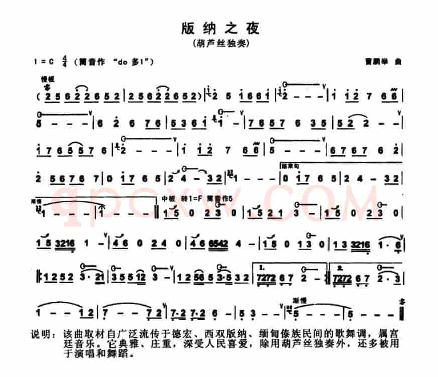 版纳之夜