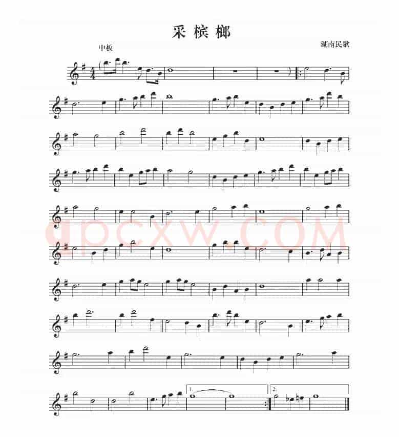 采槟榔