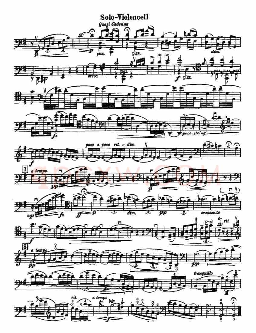 Dvorak - Cello Concerto（德沃夏克-大提琴协奏曲 [大提琴谱]）