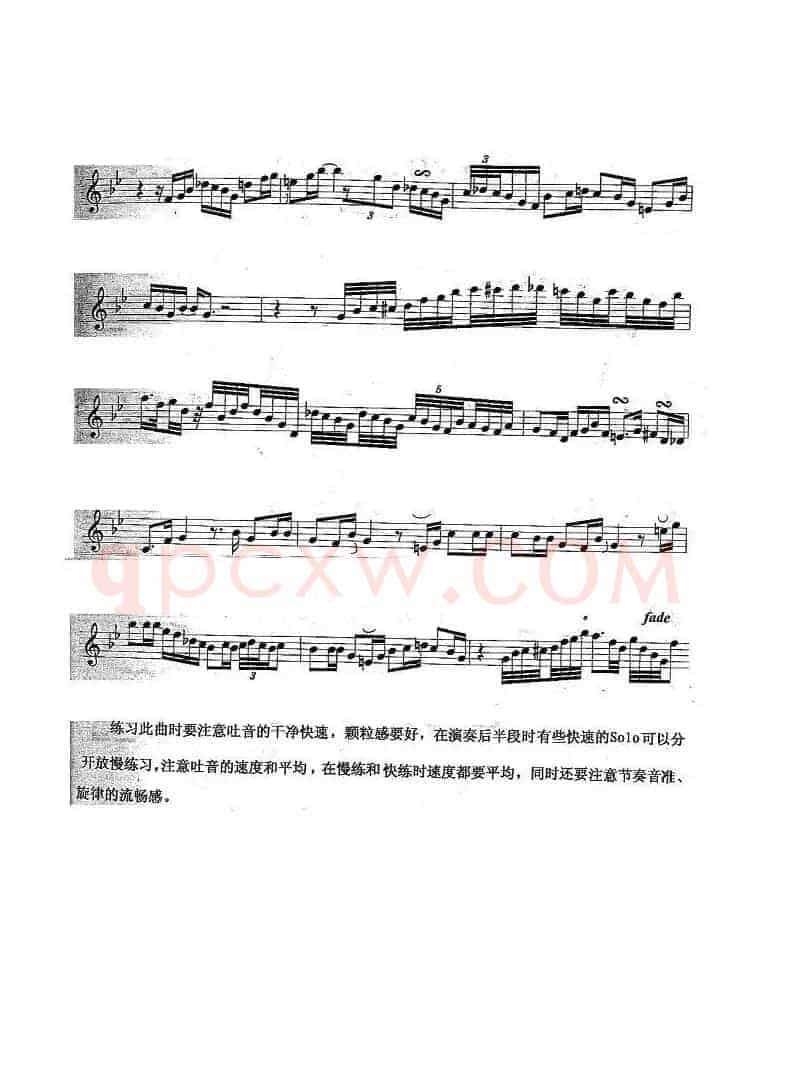 姊妹花（Sister Rose）