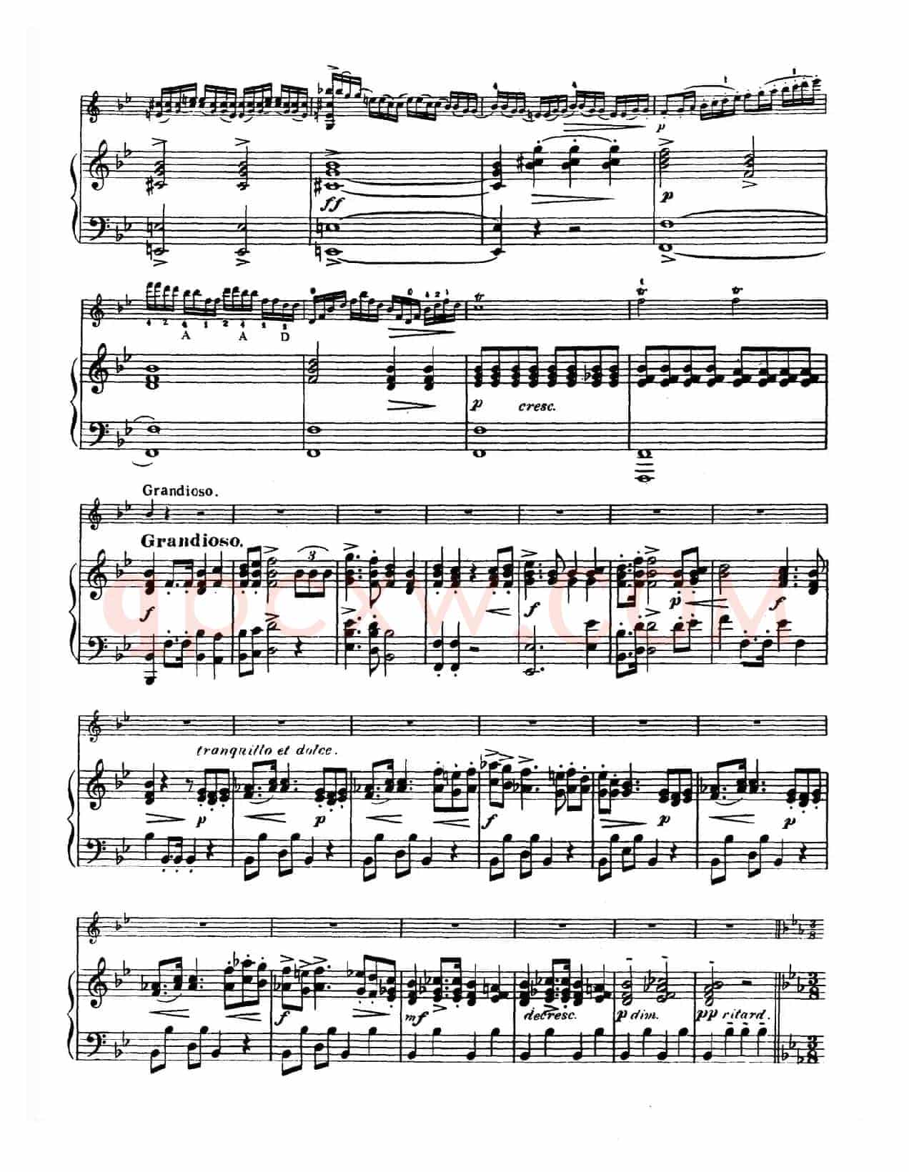 g小调学生协奏曲（塞茨作品第12号）