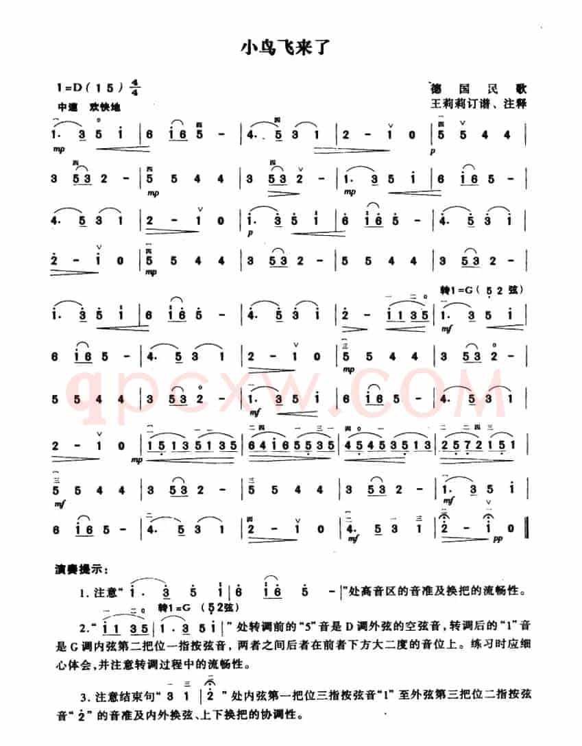 小鸟飞来了