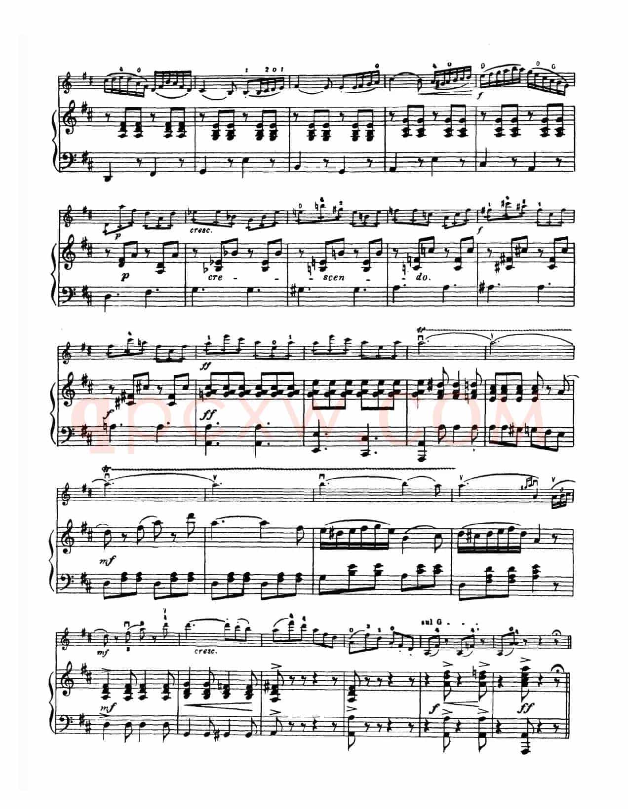 D大调学生协奏曲（塞茨作品第7号）