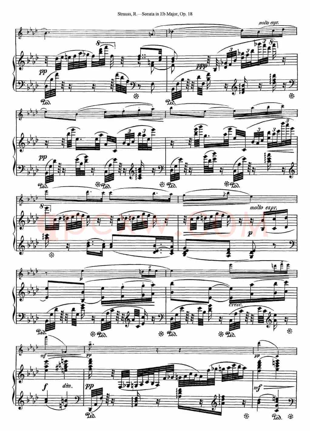 Violin Sonata in Eb Major Op.18（小提琴+钢琴伴奏）