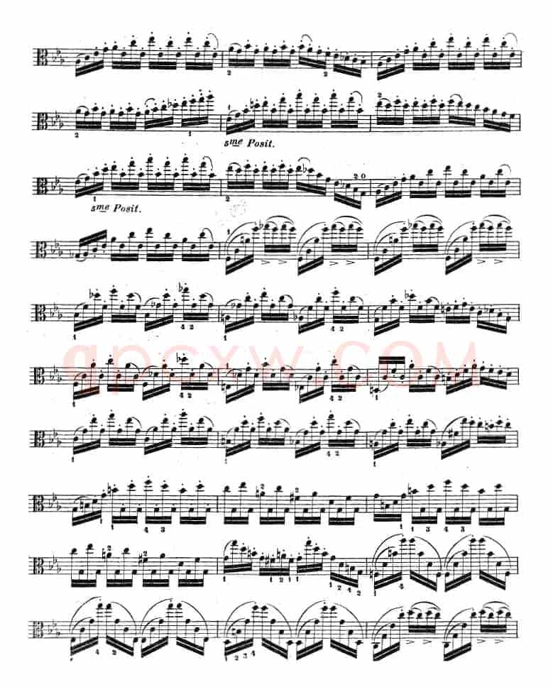 克莱采尔《中提琴练习曲40首》（ETUDE 27-29）