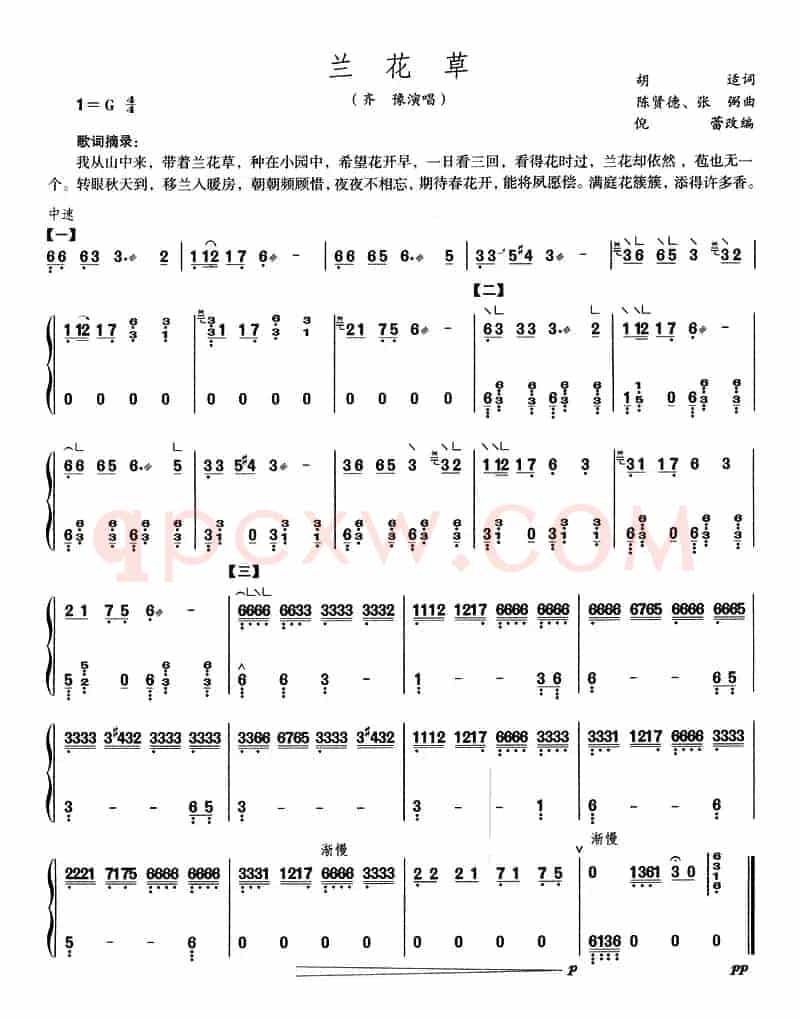 兰花草