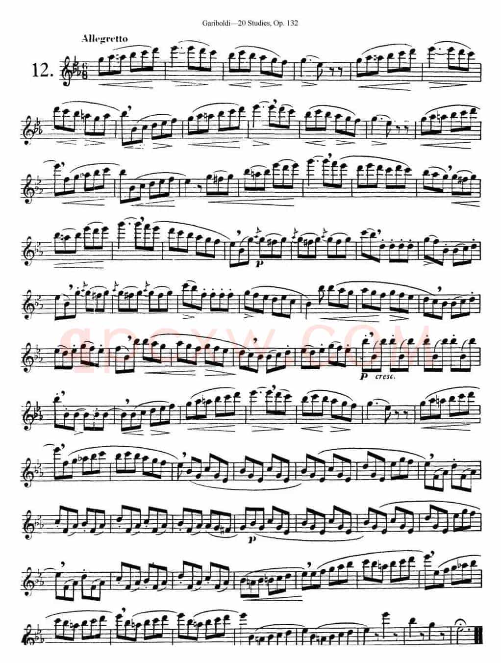 二十首练习曲作品132号之12