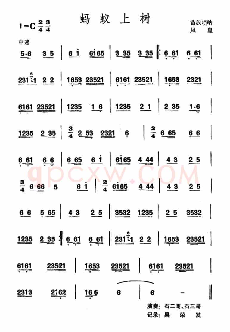 蚂蚁上树 （苗族唢呐）