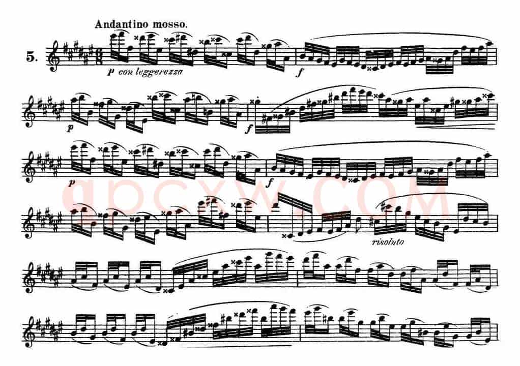 柯勒30首高级长笛练习曲作品75号（NO.5）