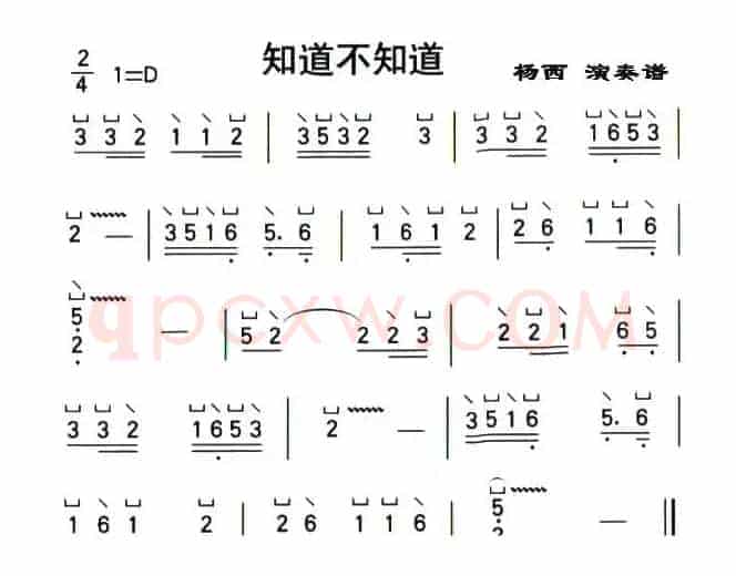 知道不知道（杨西演奏版）