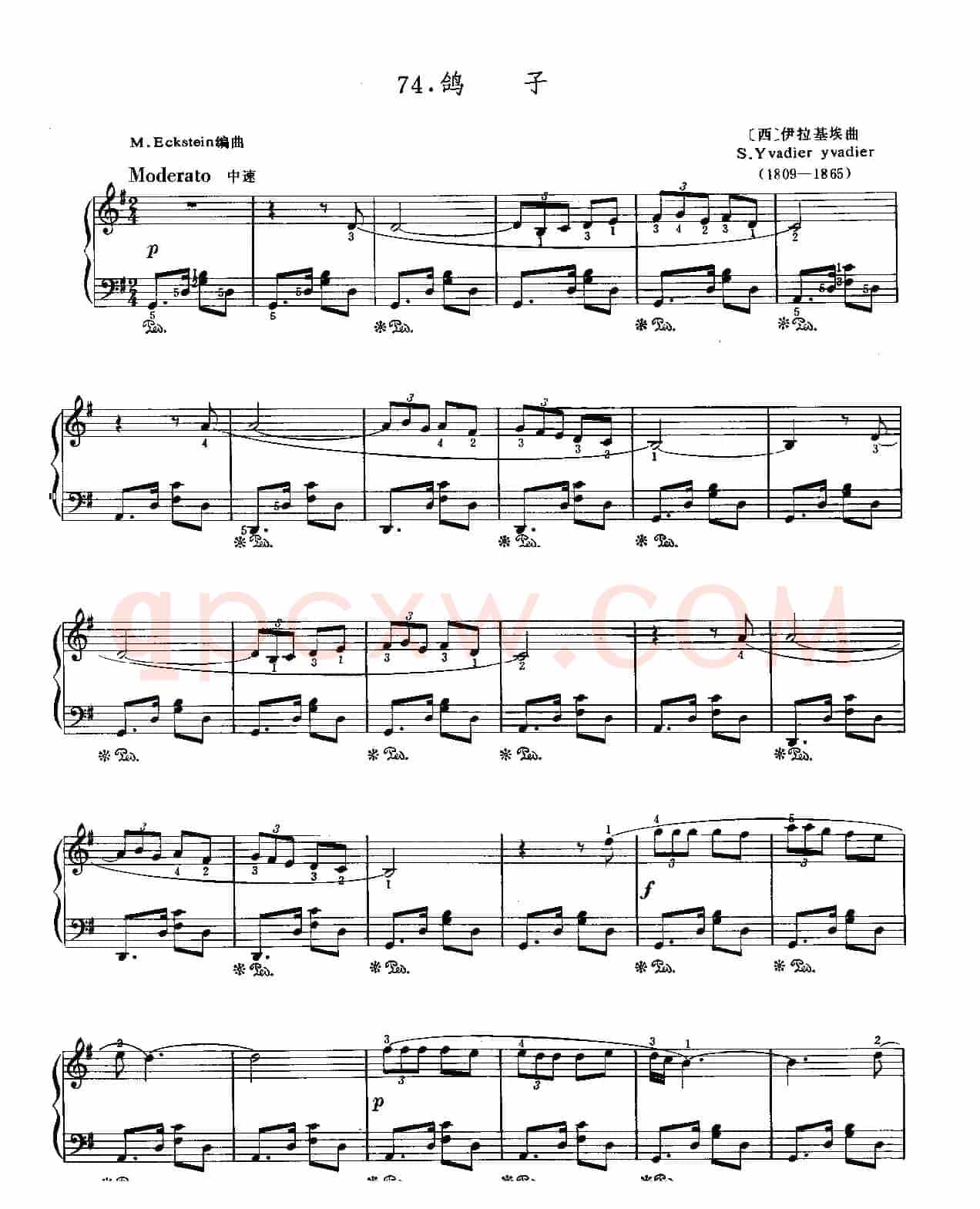 鸽子（伊拉迪尔作曲版）