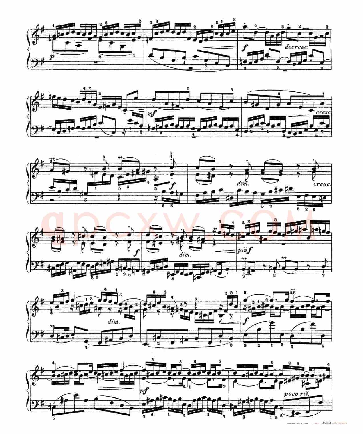 Six Partitas BWV 825-830（6首帕蒂塔·6）