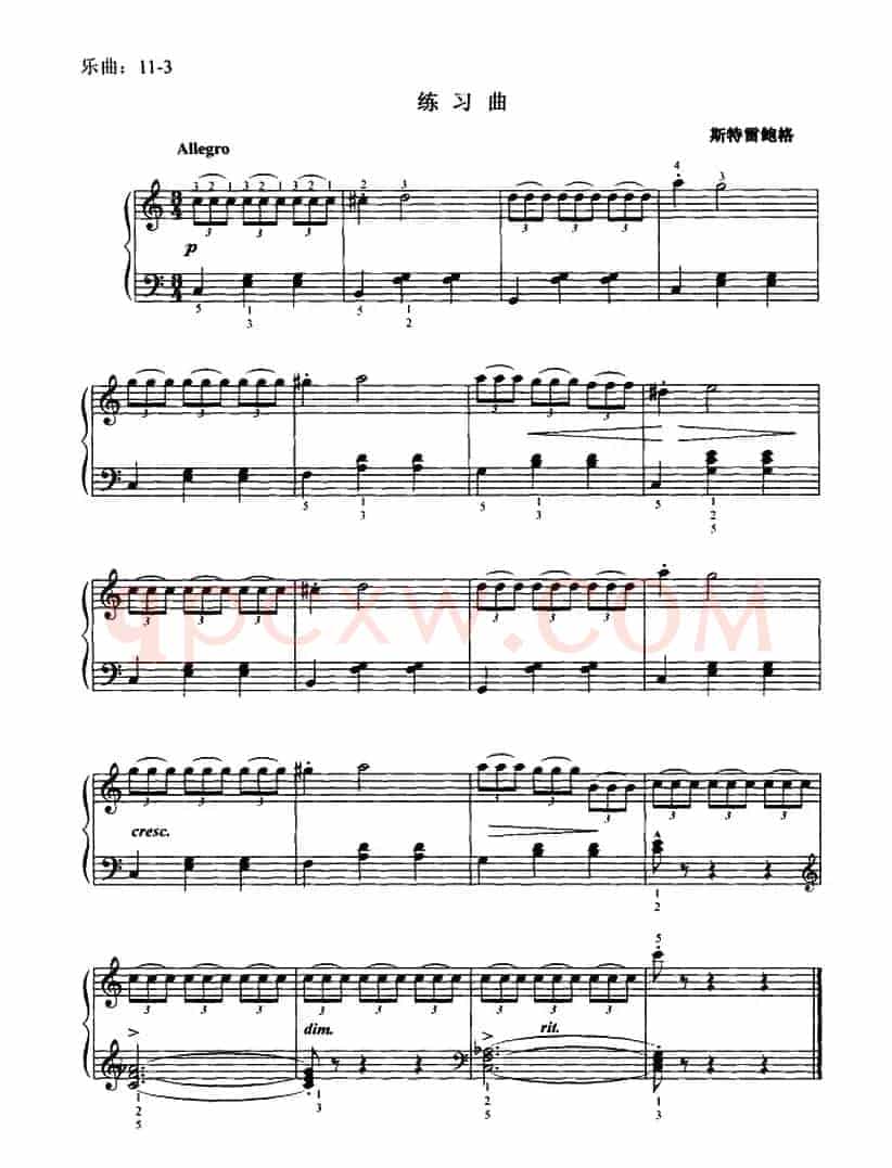斯特雷鲍格练习曲