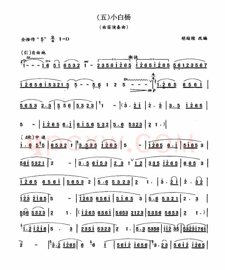 小白杨（曲笛）