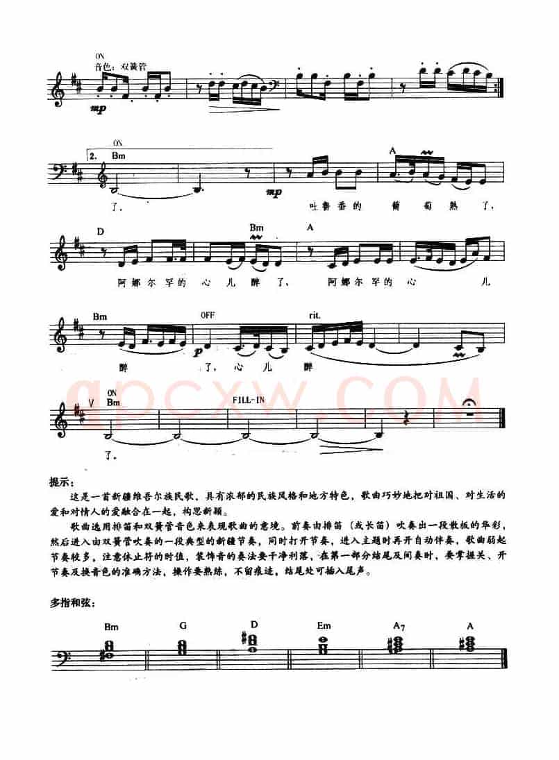 吐鲁番的葡萄熟了（带歌词提示版）