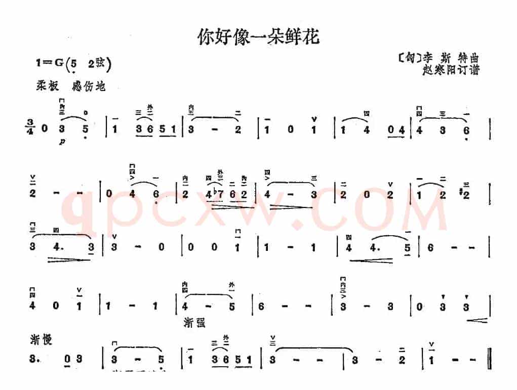 你好像一朵鲜花