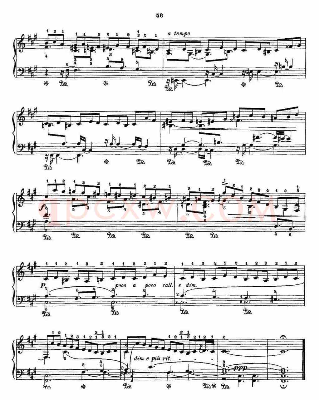 53首改编练习曲（No.28A）