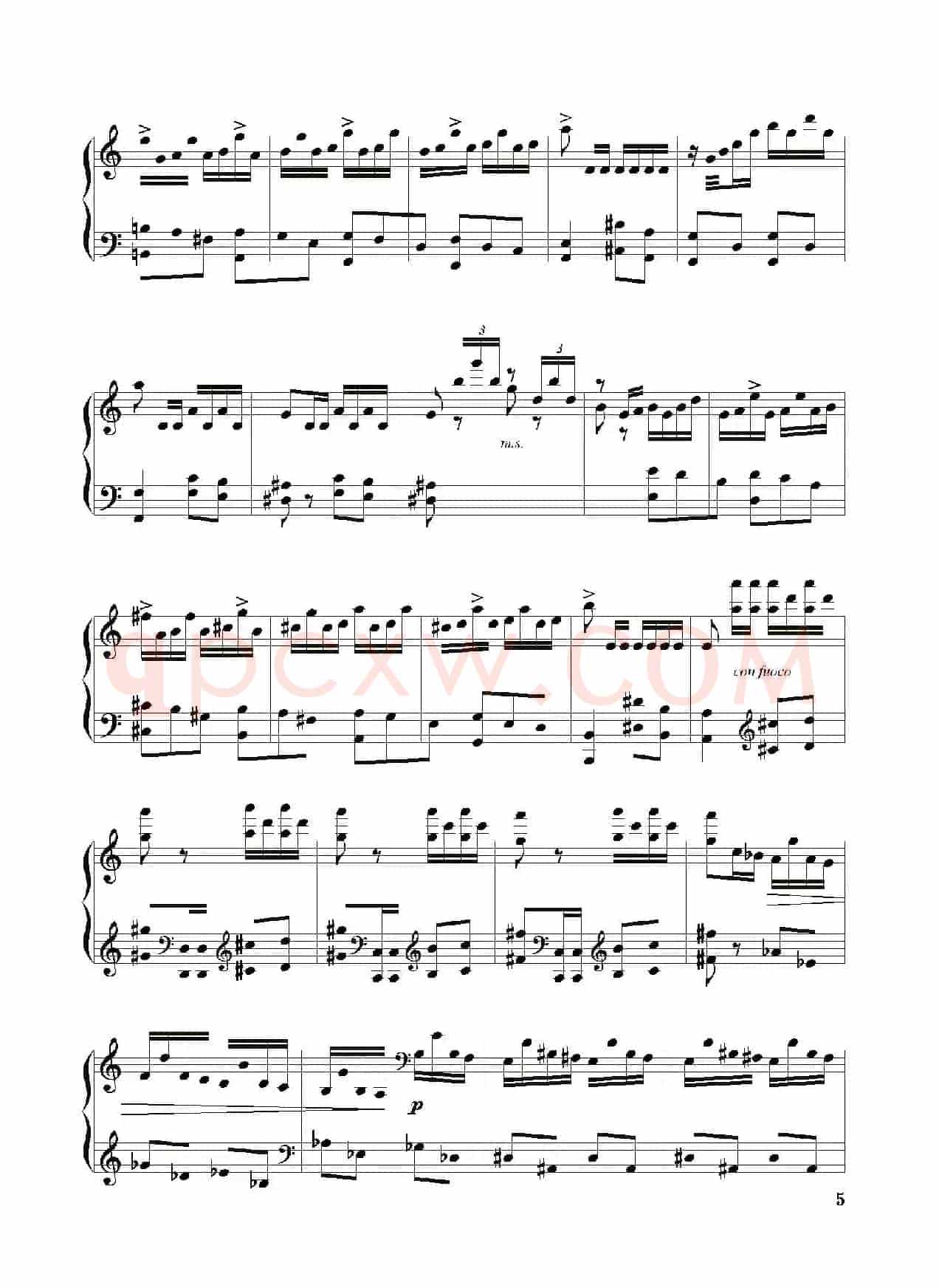 撒尼幻想曲