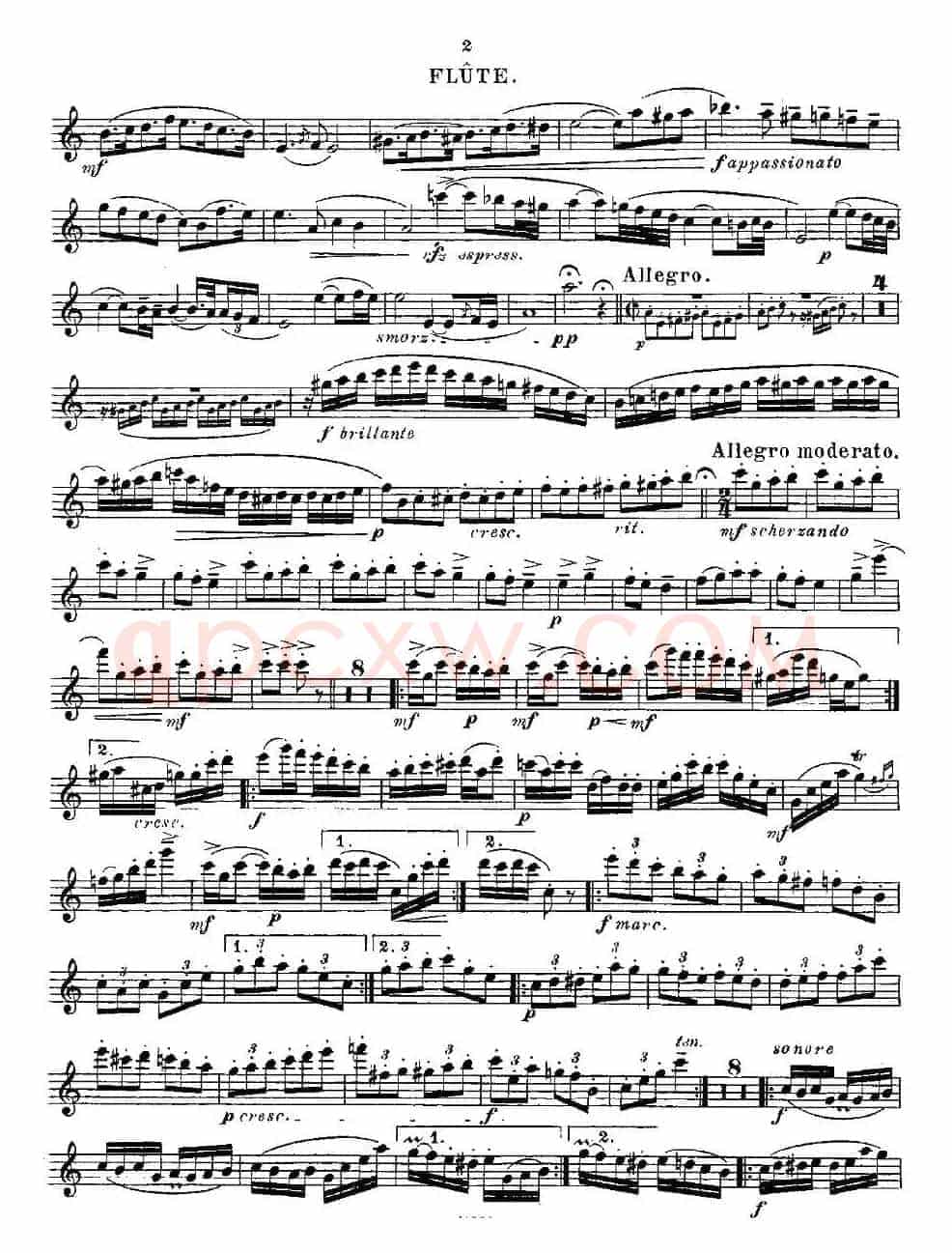 Fantaisies nationales. Op. 59, 6.