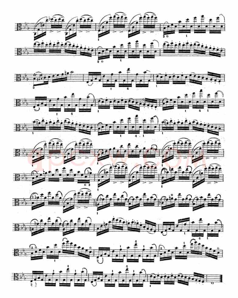 克莱采尔《中提琴练习曲40首》（ETUDE 27-29）