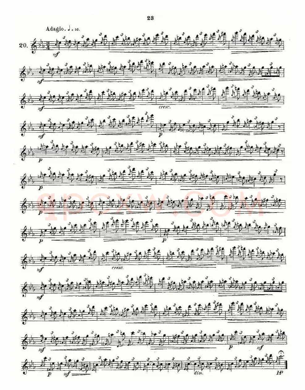 24 instructive Uebungen.Op.30（13—24）