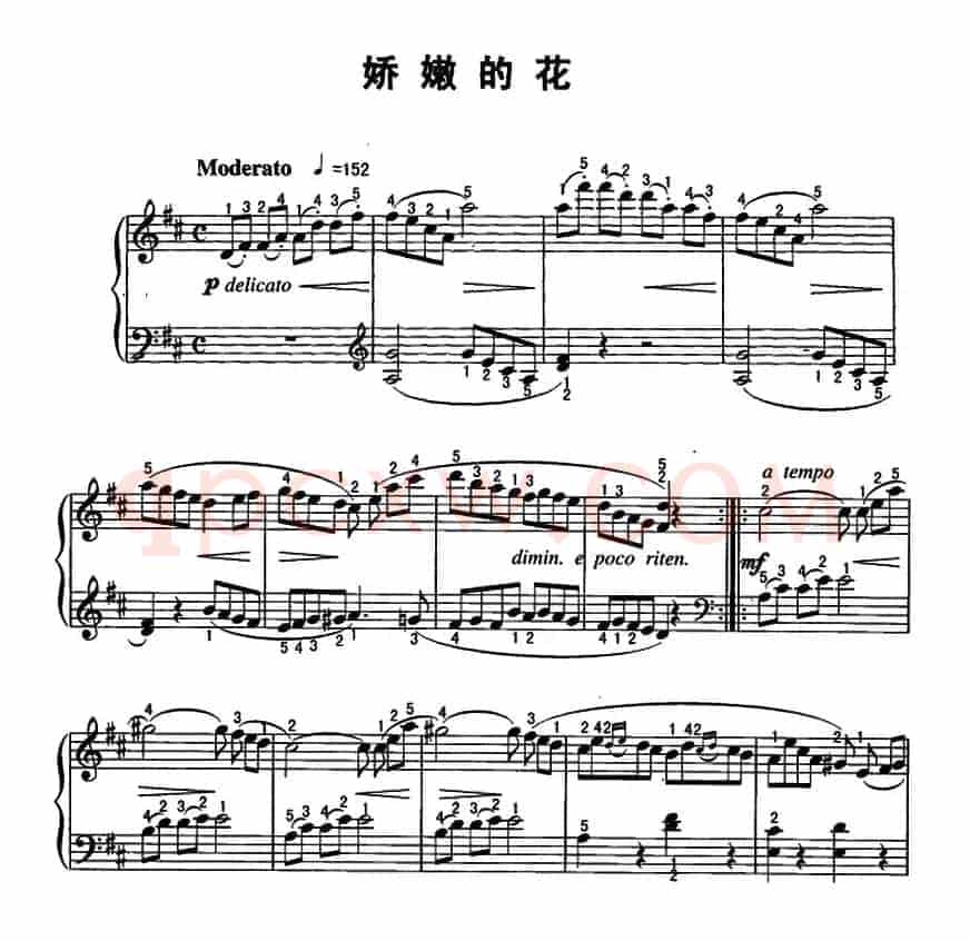 娇嫩的花