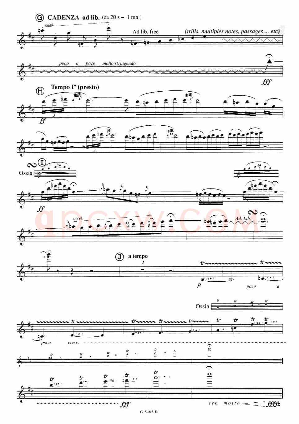 Fuzzy Bird Sonata（绒毛鸟奏鸣曲）（3、Fly Bird）
