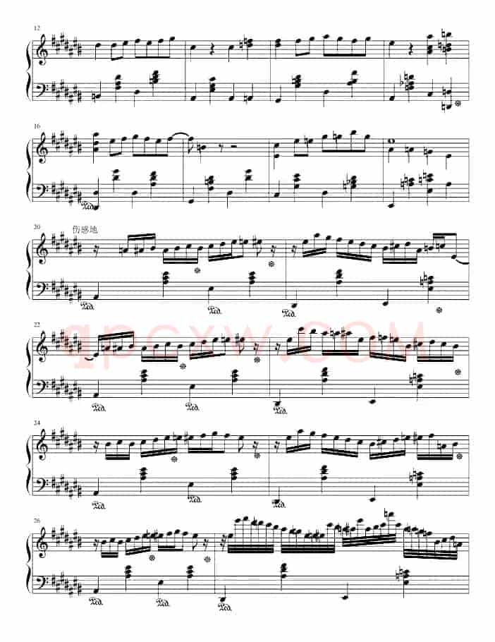 大夜洛之夜曲