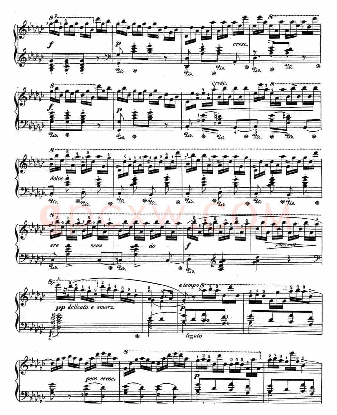 肖邦练习曲5 Op.10 No.5 黑键 降G大调 Gb major Black Key