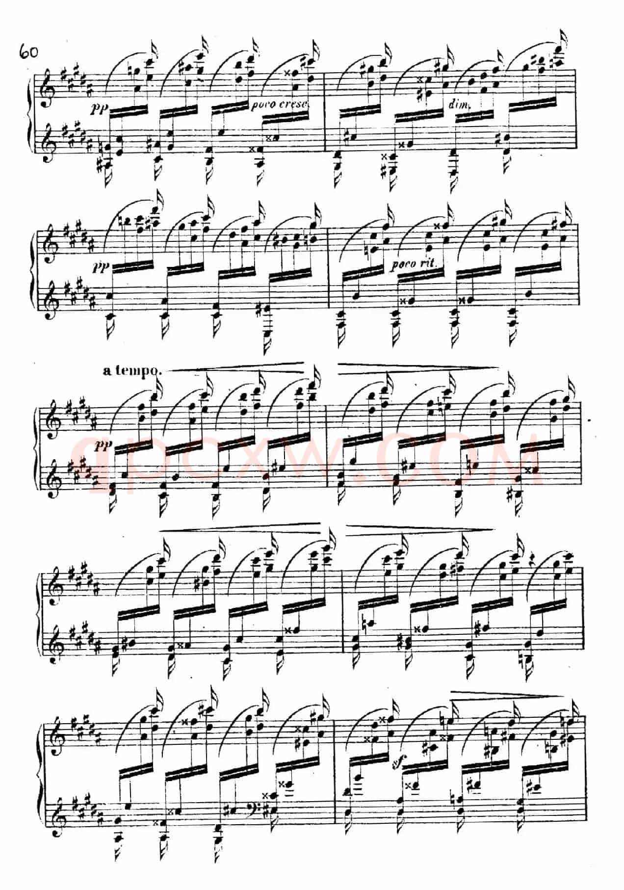 Douze Etudes de Salon Op.5(12首沙龙练习曲·12)