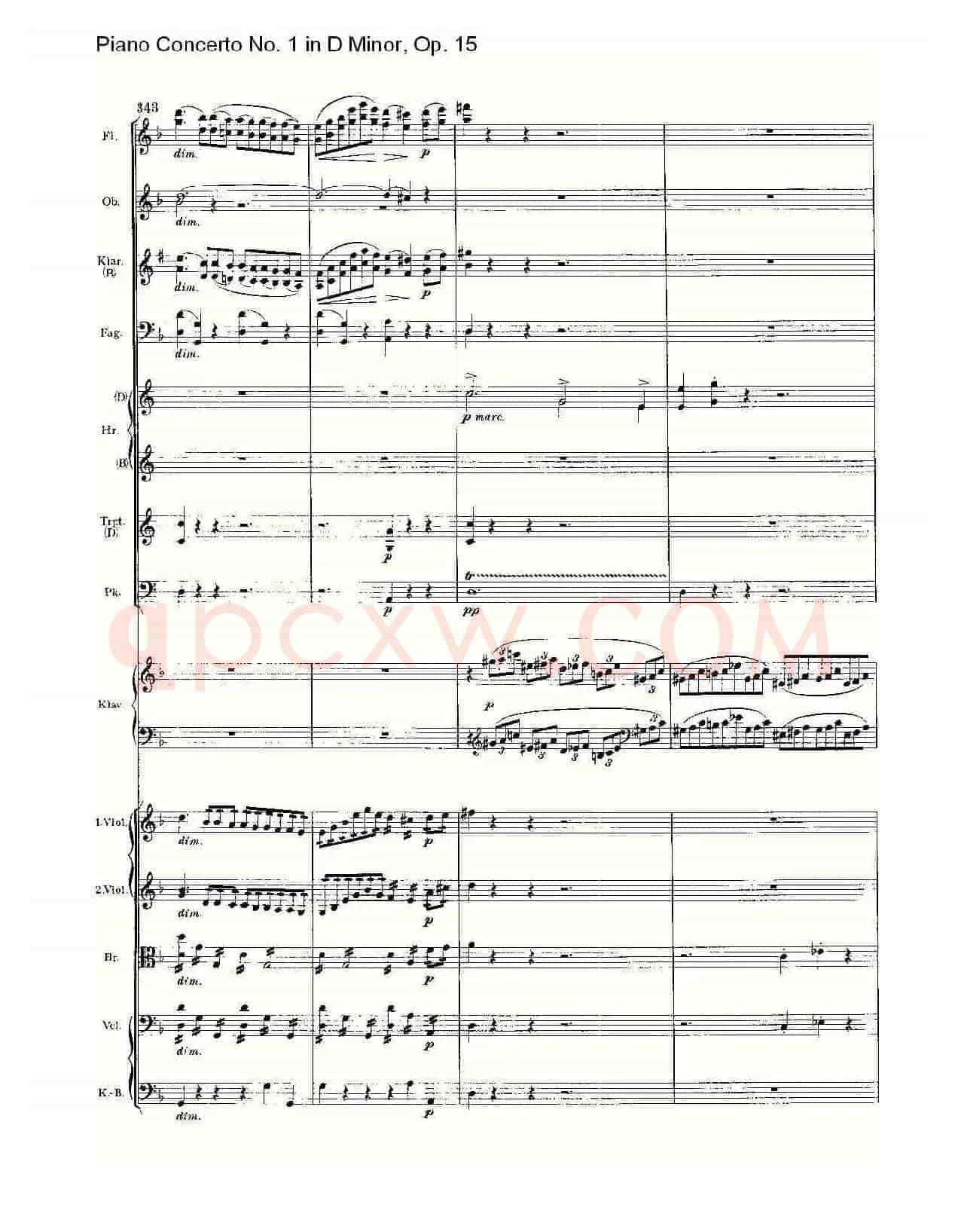 D小调钢琴第一协奏曲, Op.15第一乐章(二)