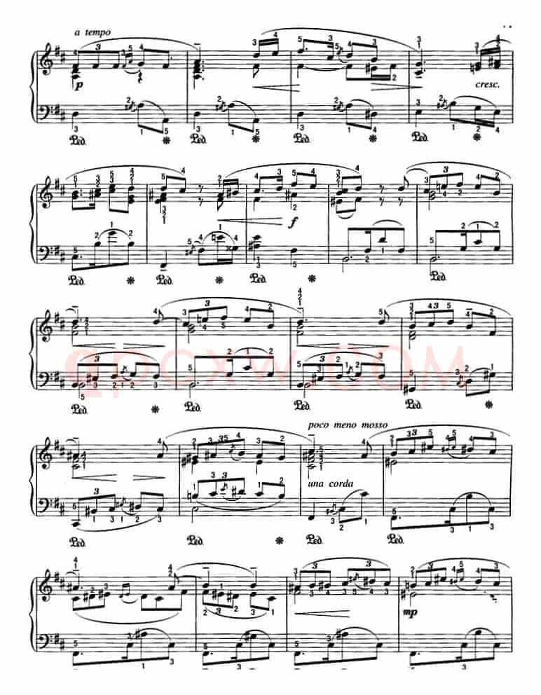 不可不弹的世界钢琴名曲：探戈（D大调）
