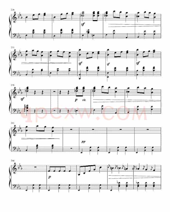 华丽的大圆舞曲（冯明东制谱版）