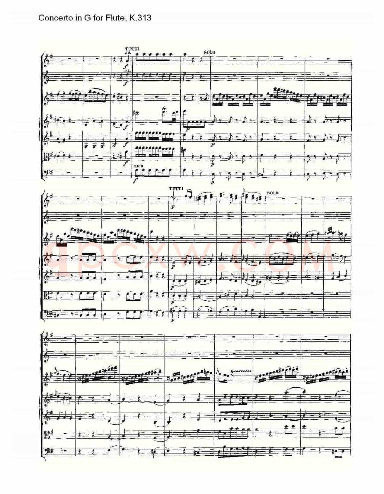 Concerto in G for Flute, K.313（G调长笛协奏曲, K.313）