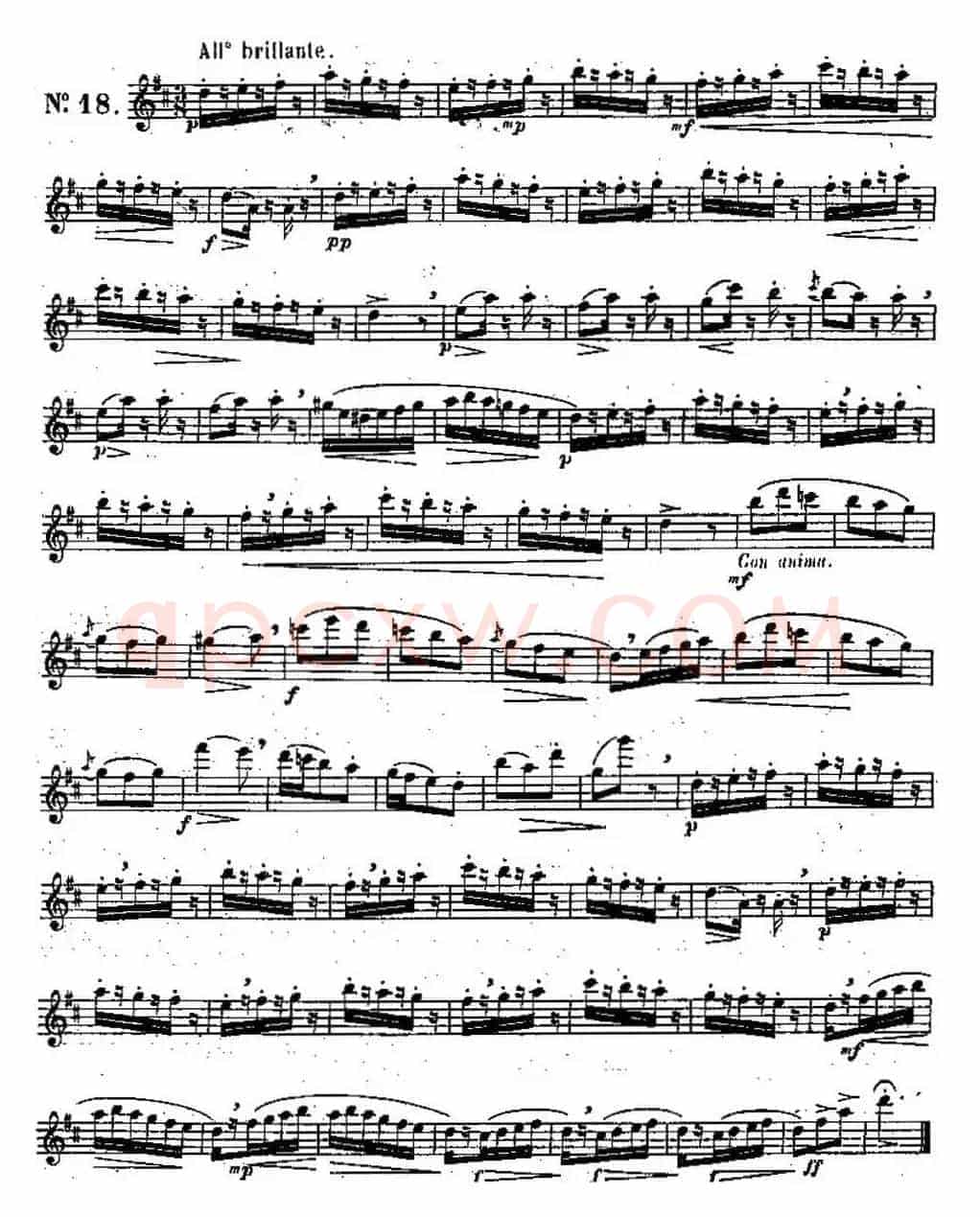 二十首练习曲作品131号（NO.18）