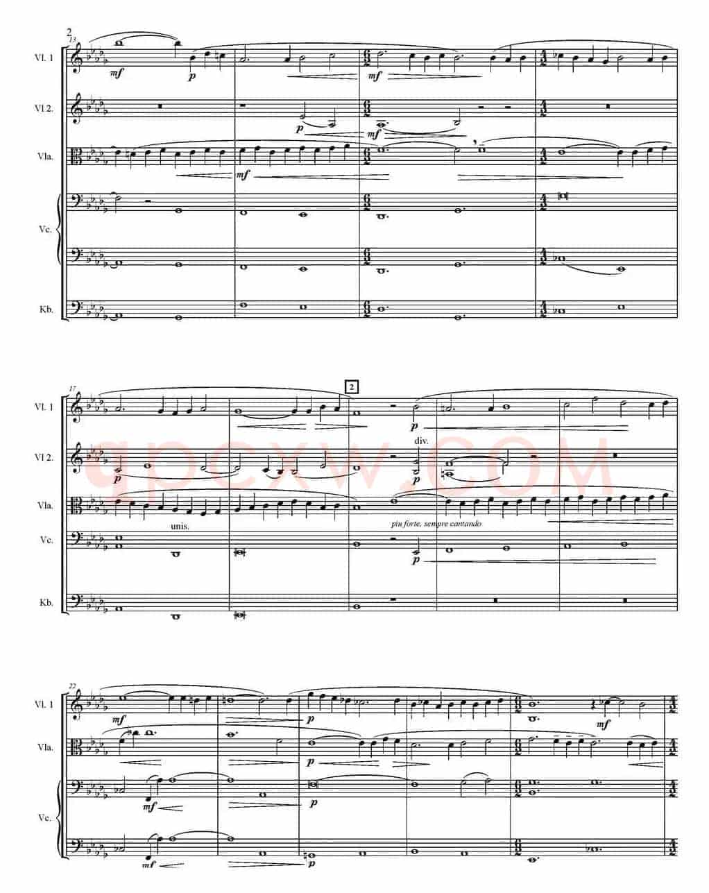 Adagio For Strings 弦乐柔板（五重奏）