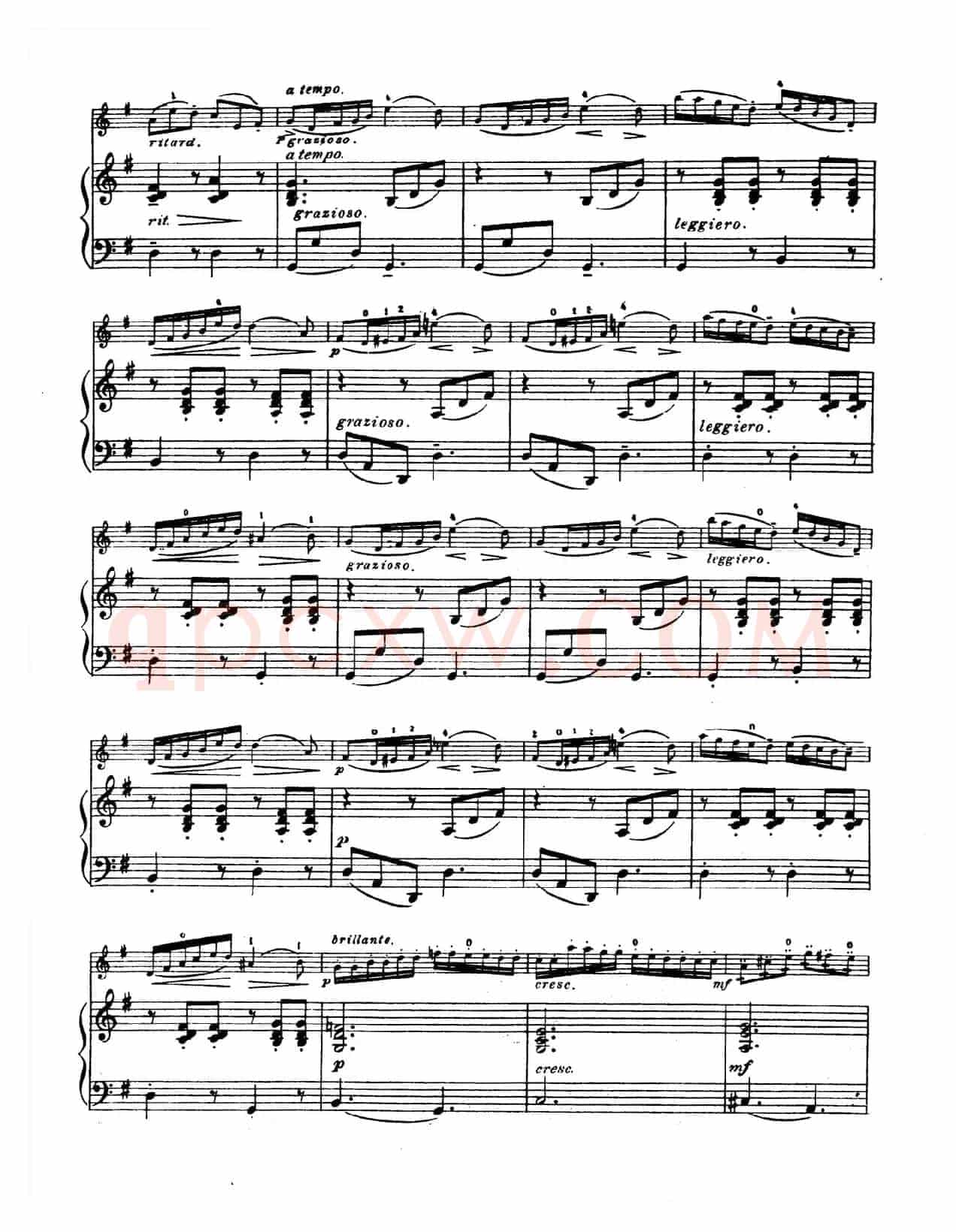 G大调学生协奏曲（塞茨作品第13号）