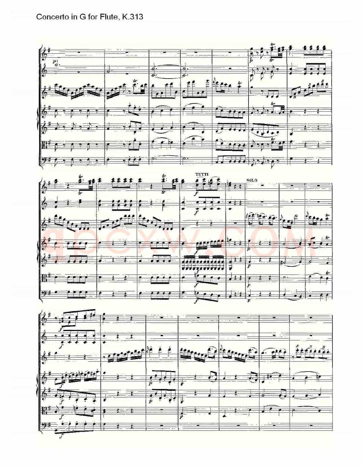 Concerto in G for Flute, K.313（G调长笛协奏曲, K.313）