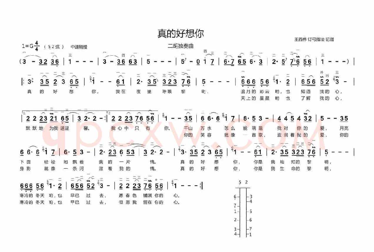 真的好想你（二胡独奏、带歌词版）